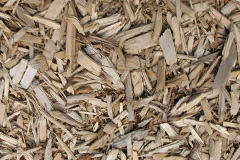 biomass boilers High Trewhitt